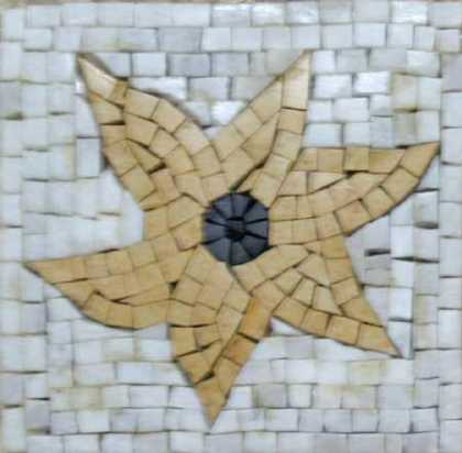 IN234 Mosaic